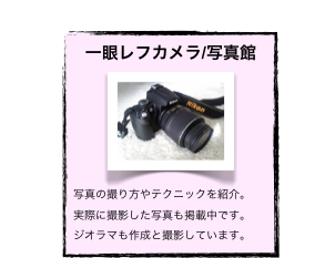 一眼レフカメラ/写真館
￼
写真の撮り方やテクニックを紹介。 実際に撮影した写真も掲載中です。
ジオラマも作成と撮影しています。 